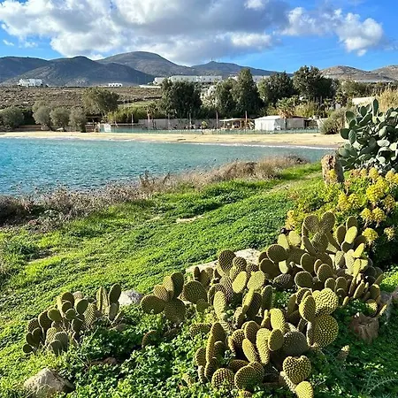 Apartment Dream House Piso Livadi *