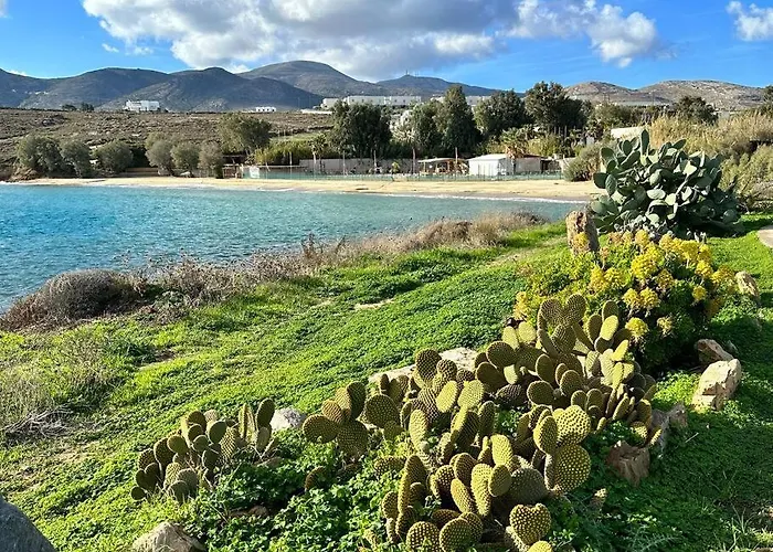 Apartamento Dream House Piso Livadi *